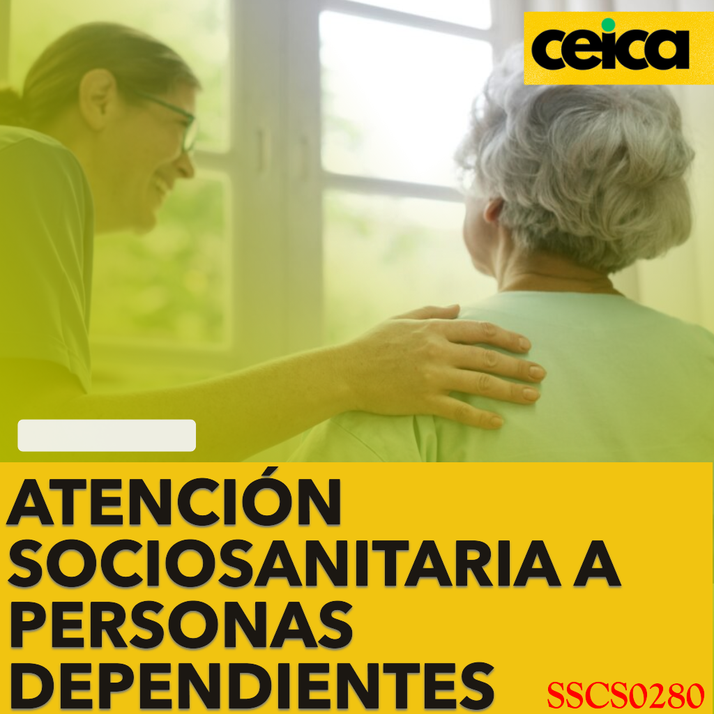 ATENCIÓN SOCIOSANITARIA A PERSONAS DEPENDIENTES EN INSTITUCIONES SOCIALES