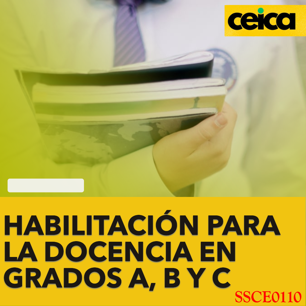 HABILITACION PARA LA DOCENCIA EN GRADOS A, B Y C DEL SISTEMA DE FORMACION PROFESIONAL